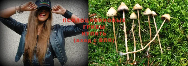 где найти   Калач  OMG ССЫЛКА  Псилоцибиновые грибы MAGIC MUSHROOMS 